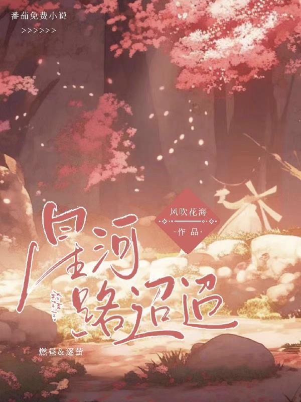 星河路小豆腐一条街在哪一块
