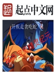 神奇宝贝精灵猎人
