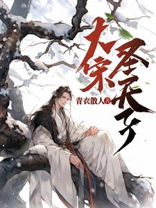 大宋王朝
